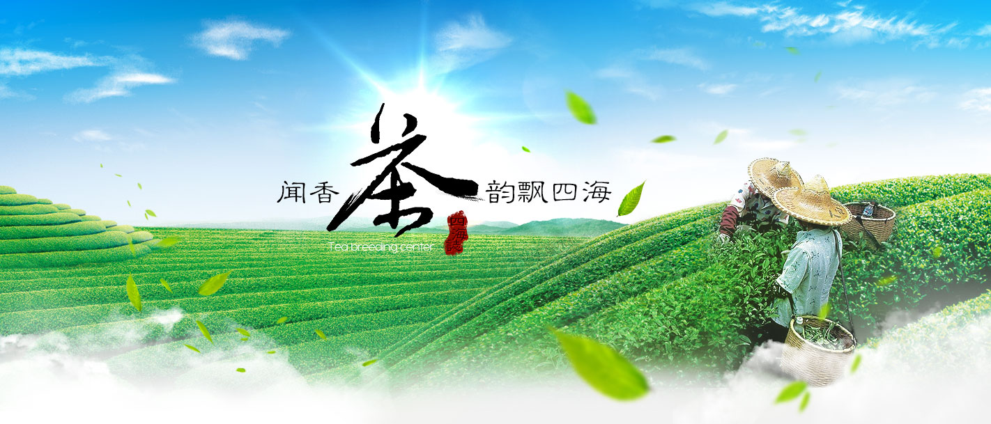 token.im下载-imtoken下载-imtoken钱包安卓下载